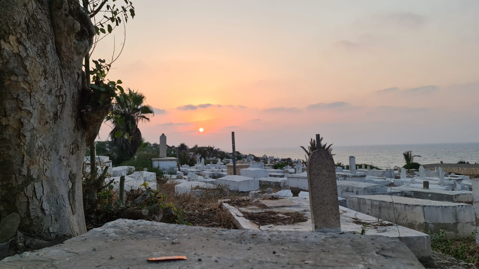 WhatsApp Image 2020-09-19 at 1.45.32 PM.jpeg.jpeg